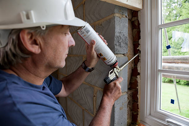 Best Insulation Repair Services  in North Branch, MN